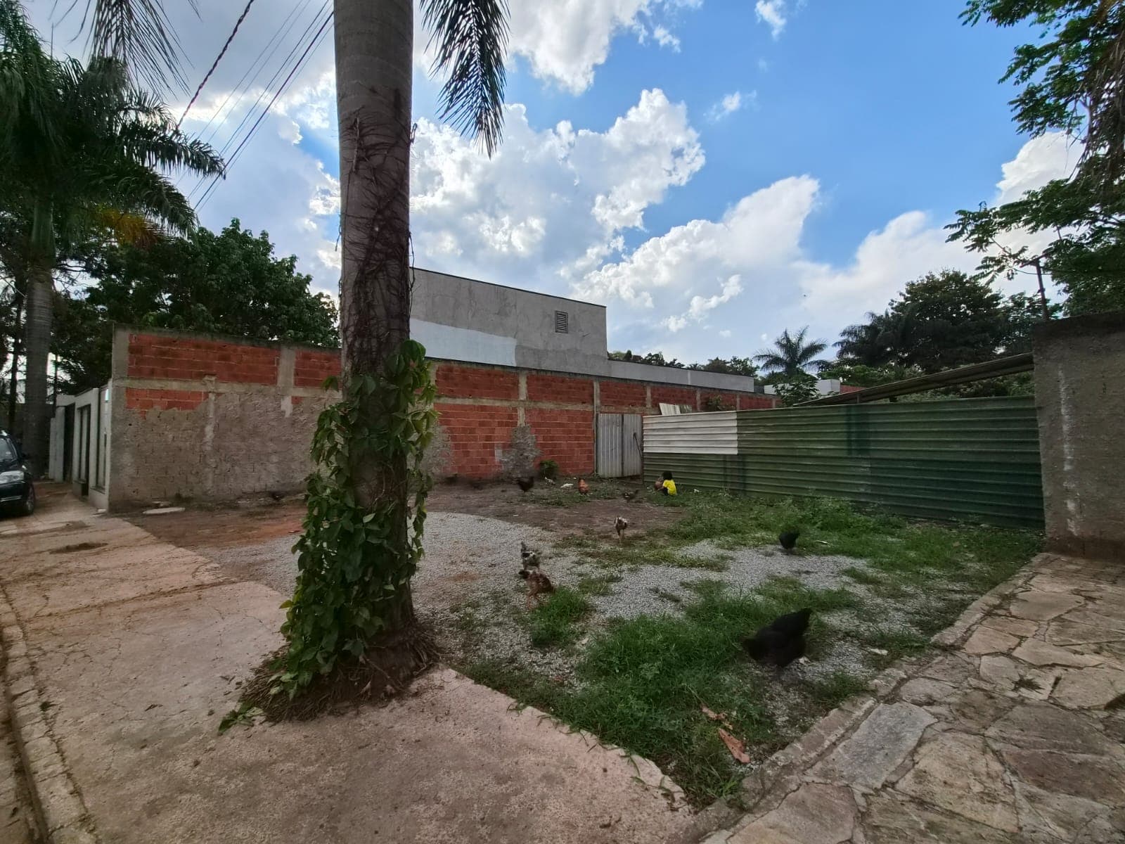 Terreno em Setor Habitacional Vicente Pires - Trecho 3